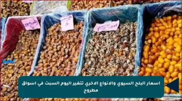 أسعار البلح السيوي والأنواع الأخرى تتغير اليوم السبت في أسواق مطروح